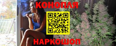 Альфа ПВП Заволжье