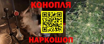 Альфа ПВП Заволжье