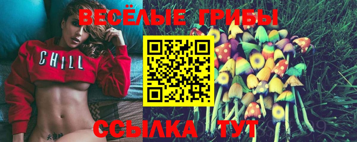 Псилоцибиновые грибы мицелий  Вход с VPN  Псилоцибиновые грибы ЛСД  Шахты 